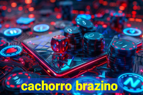 cachorro brazino