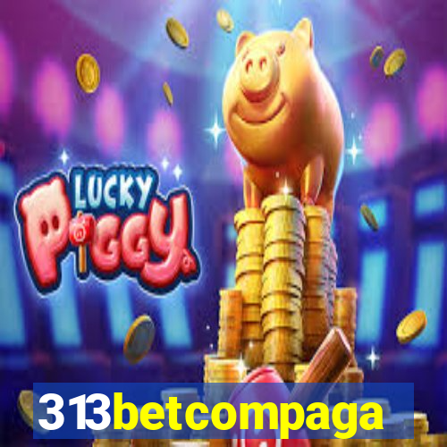 313betcompaga