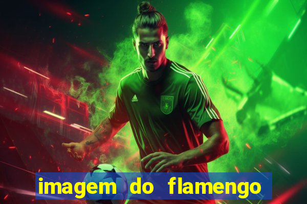 imagem do flamengo para perfil